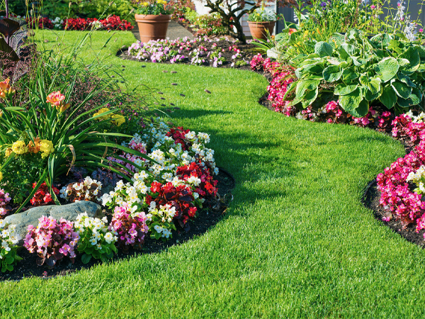 Professional Planting by Well Rooted Gardens