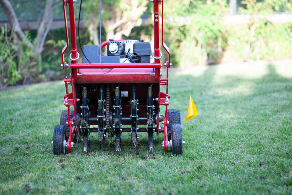 Lawn Aeration