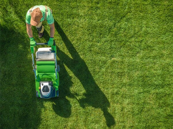 Mowing - Turf Care Services