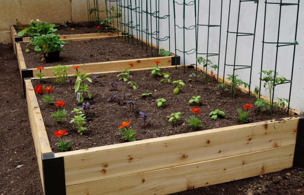 Garden Beds for Plants